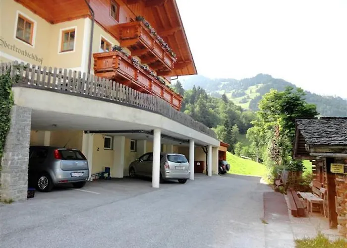公寓 Oberkronbichlhof 格罗萨尔
